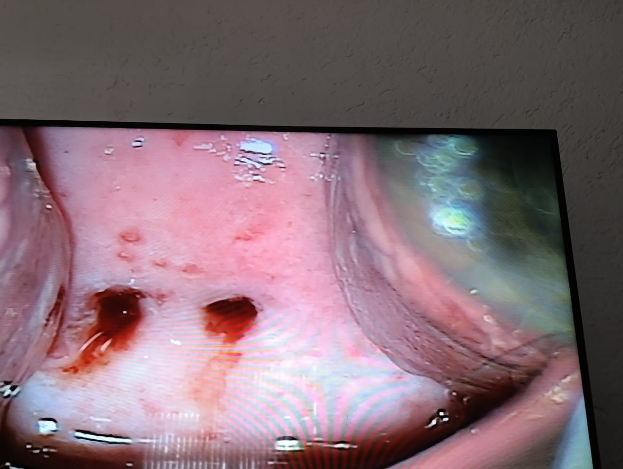 Amairani Yaneiri Mercado Rivera-1