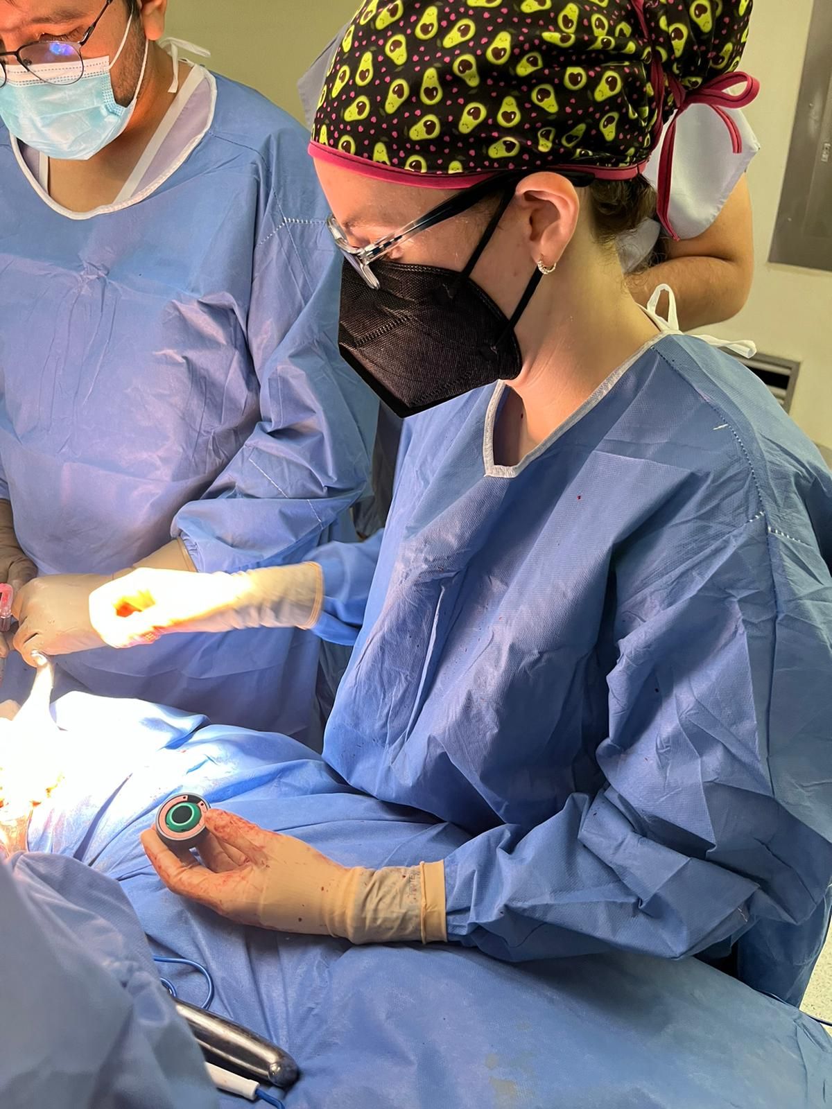 Maria De Lourdes Cortés Steidle-4