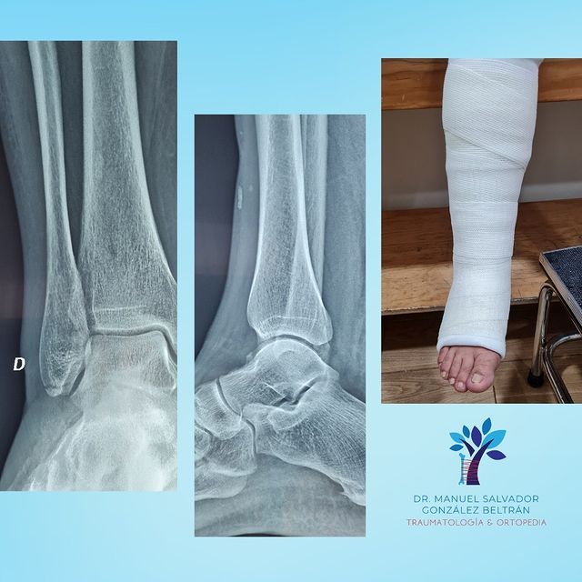 Manuel Salvador Gonzalez Beltran-4