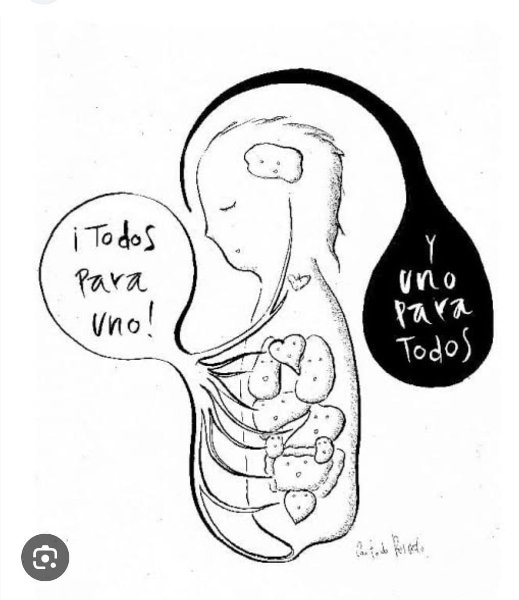 Christian Evelin Miranda Salazar-11