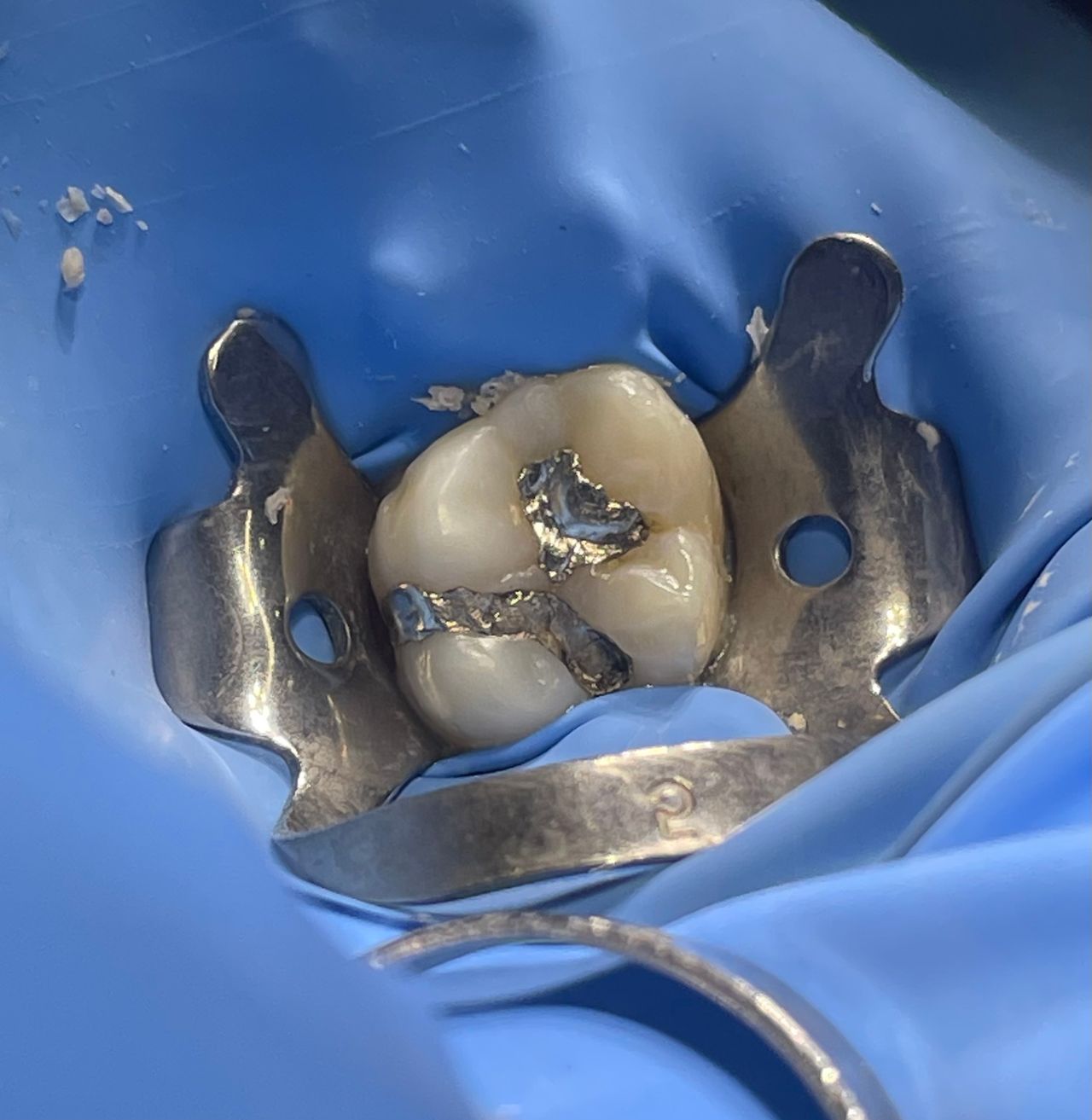 Luis Ernesto Calva Valdez-7