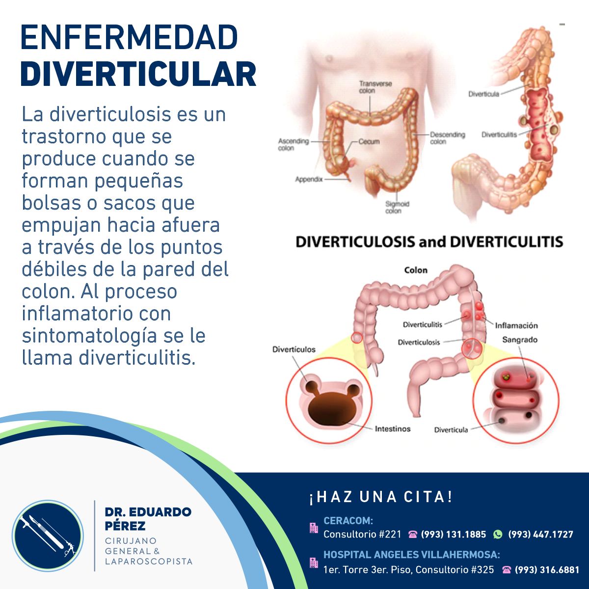 José Eduardo Pérez Vásquez-18