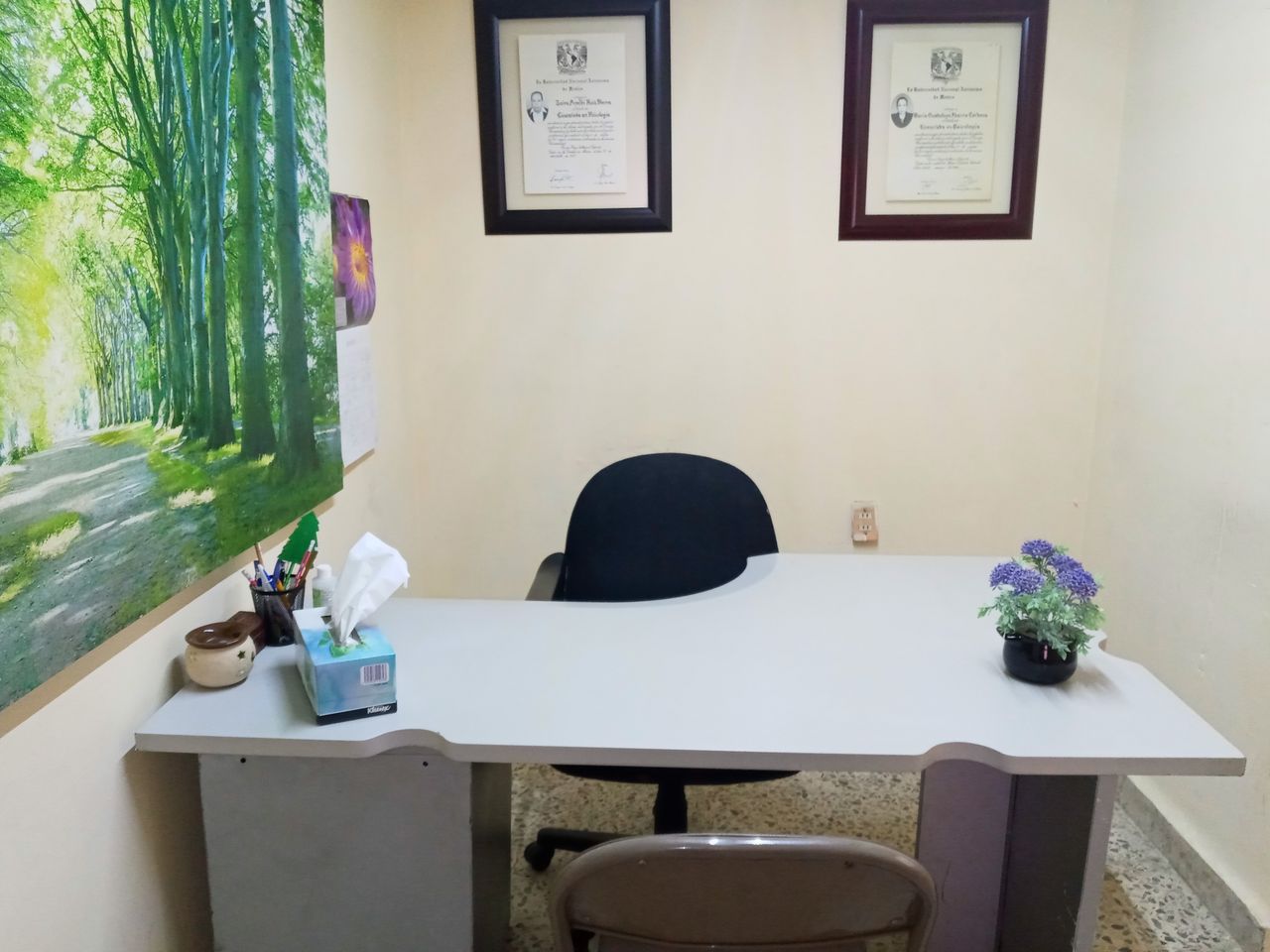 María Guadalupe Ibarra Cordova-1