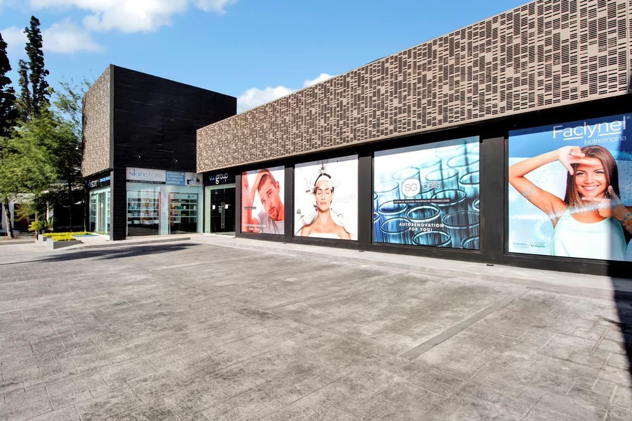 Alejandra Villarreal Martínez-1