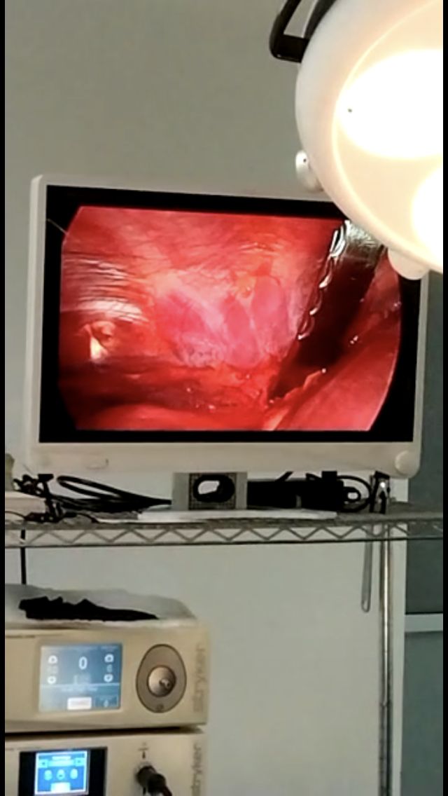 Victor Manuel Carmona Delgado-3