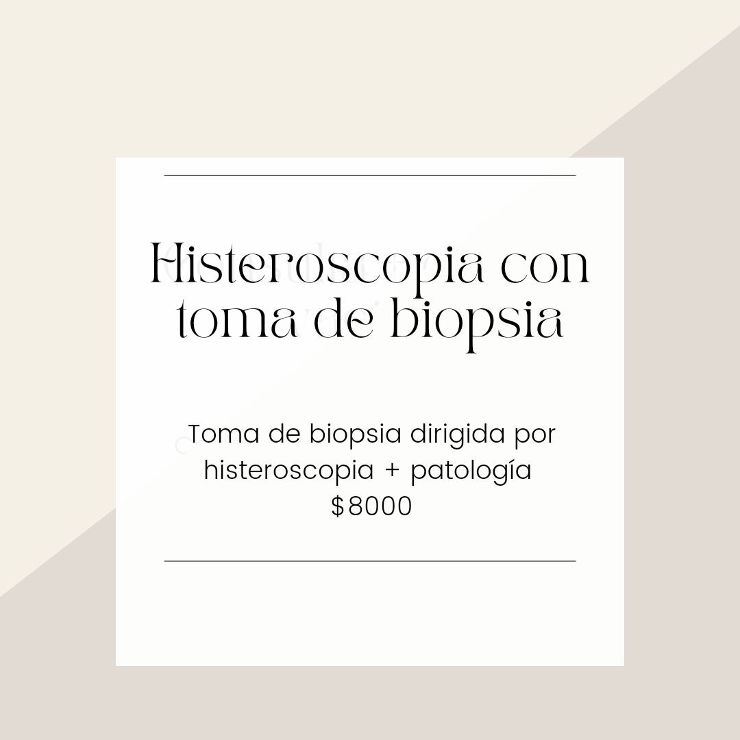 María José Rodríguez Gutiérrez-14