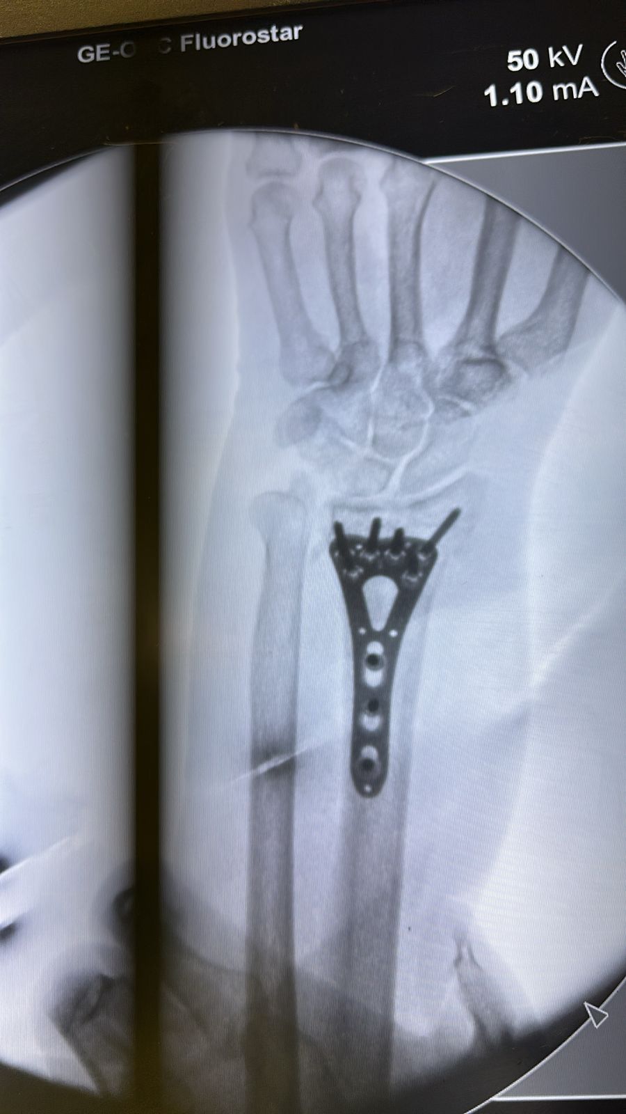 Jesus Manuel Gonzalez-7