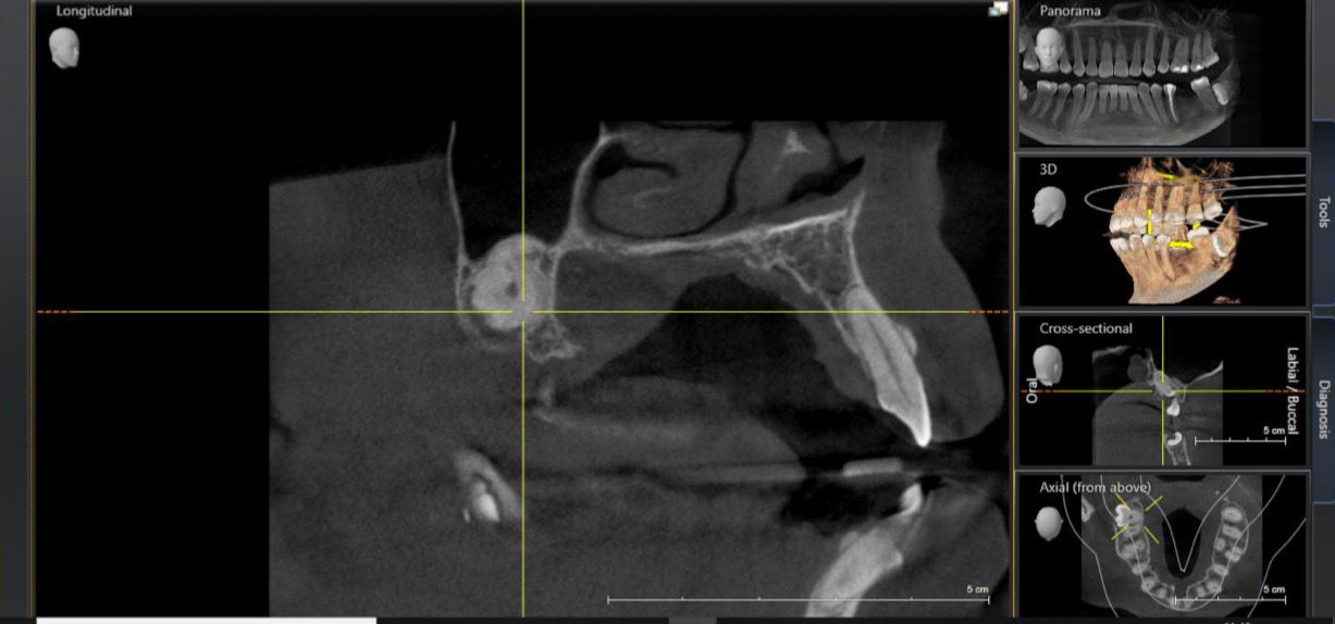 Jose Rodríguez González-7