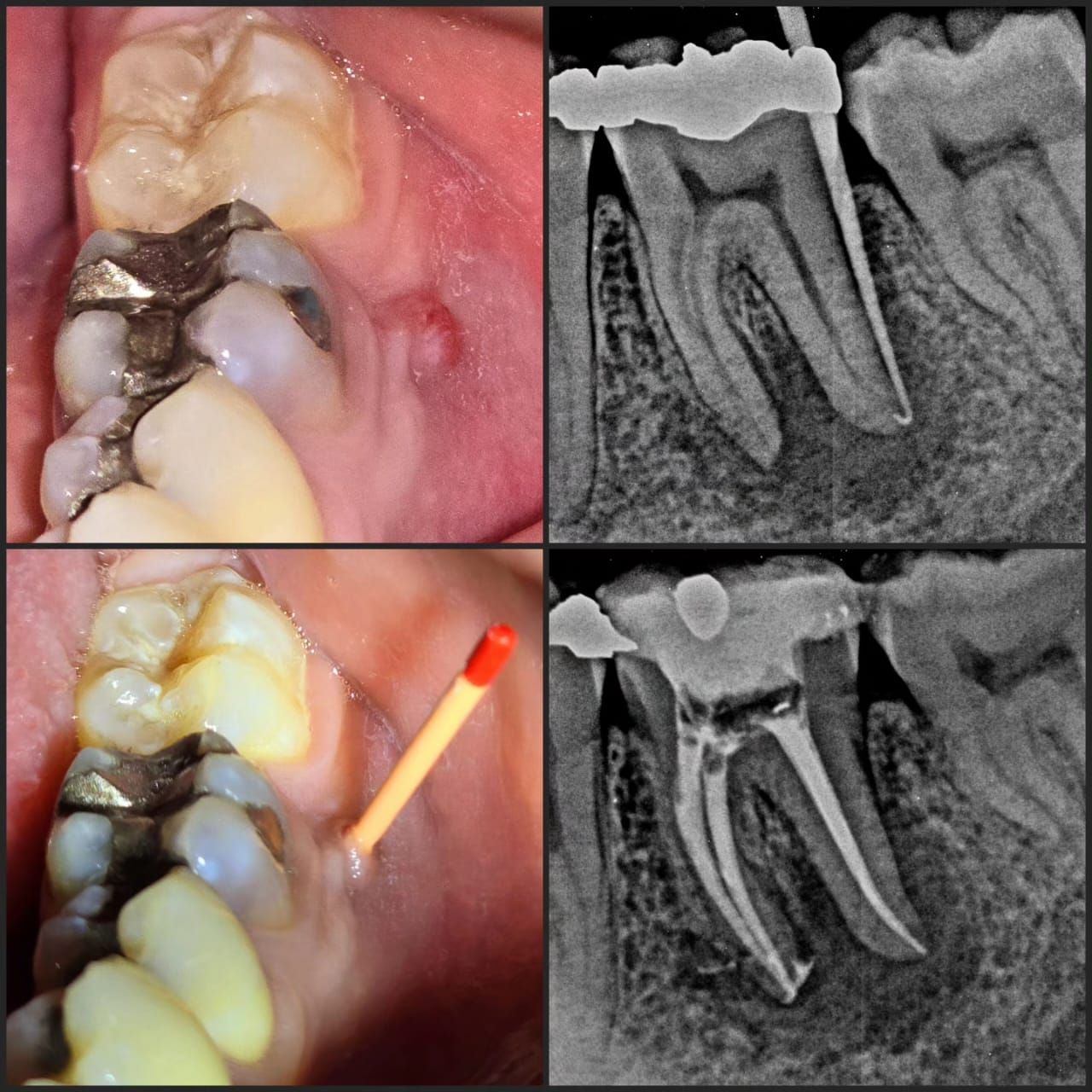 Juan Angel Cruz Rodríguez-20