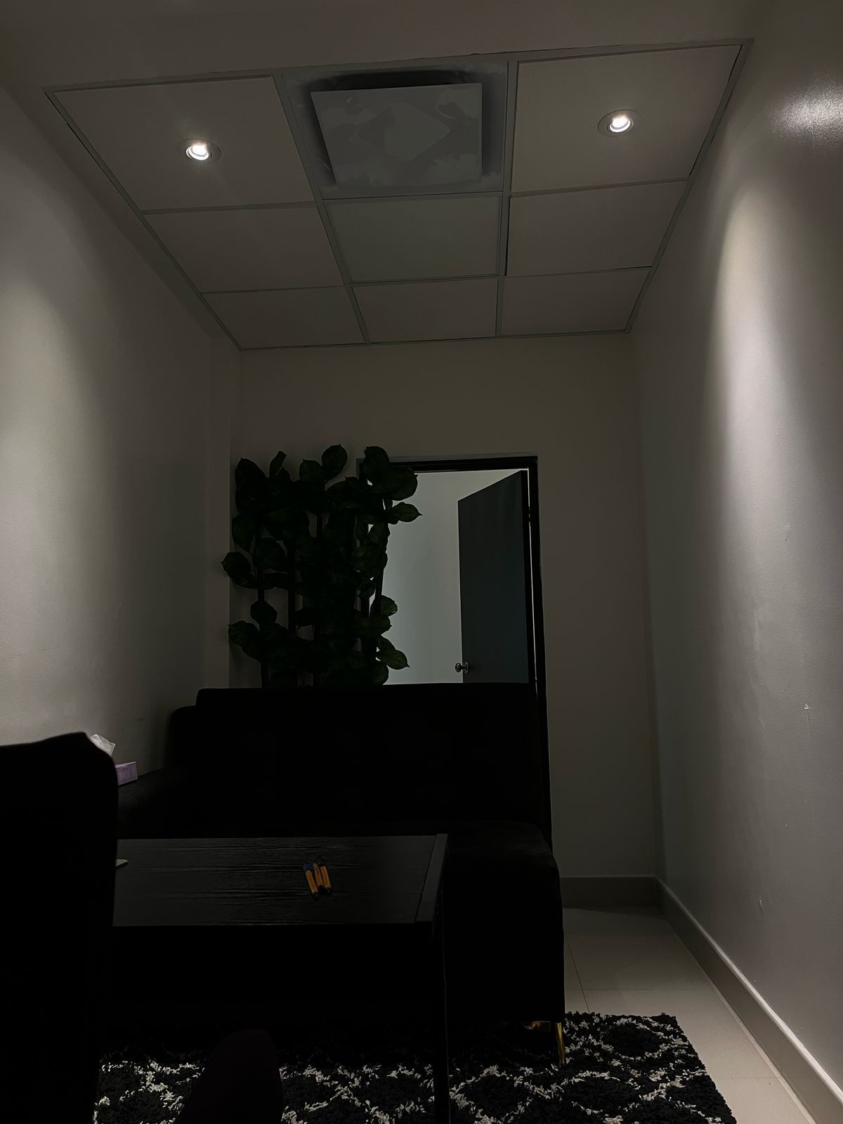 Alejandra Pastrana-1