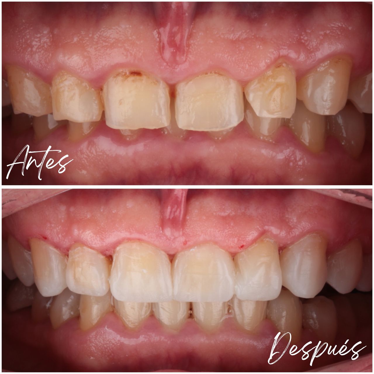 Daniel De Jesus Ramirez Vazquez-4