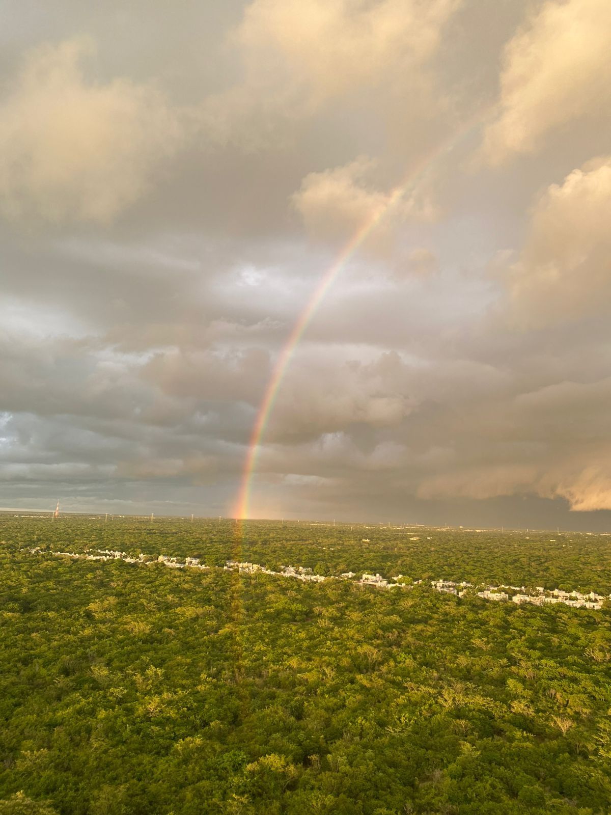 Elba Isabel Torres Ceballos-5