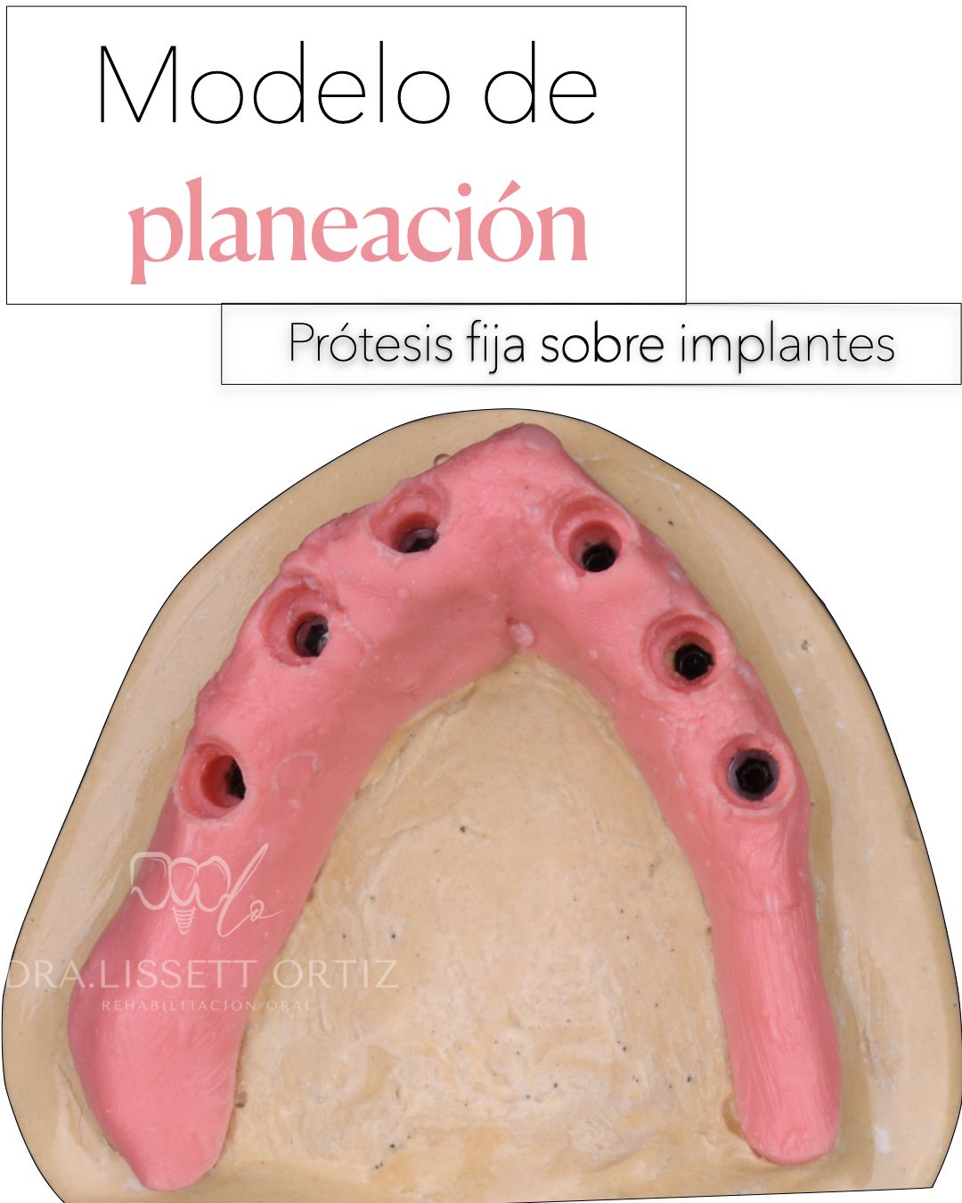 Ana Lissett Ortiz-28