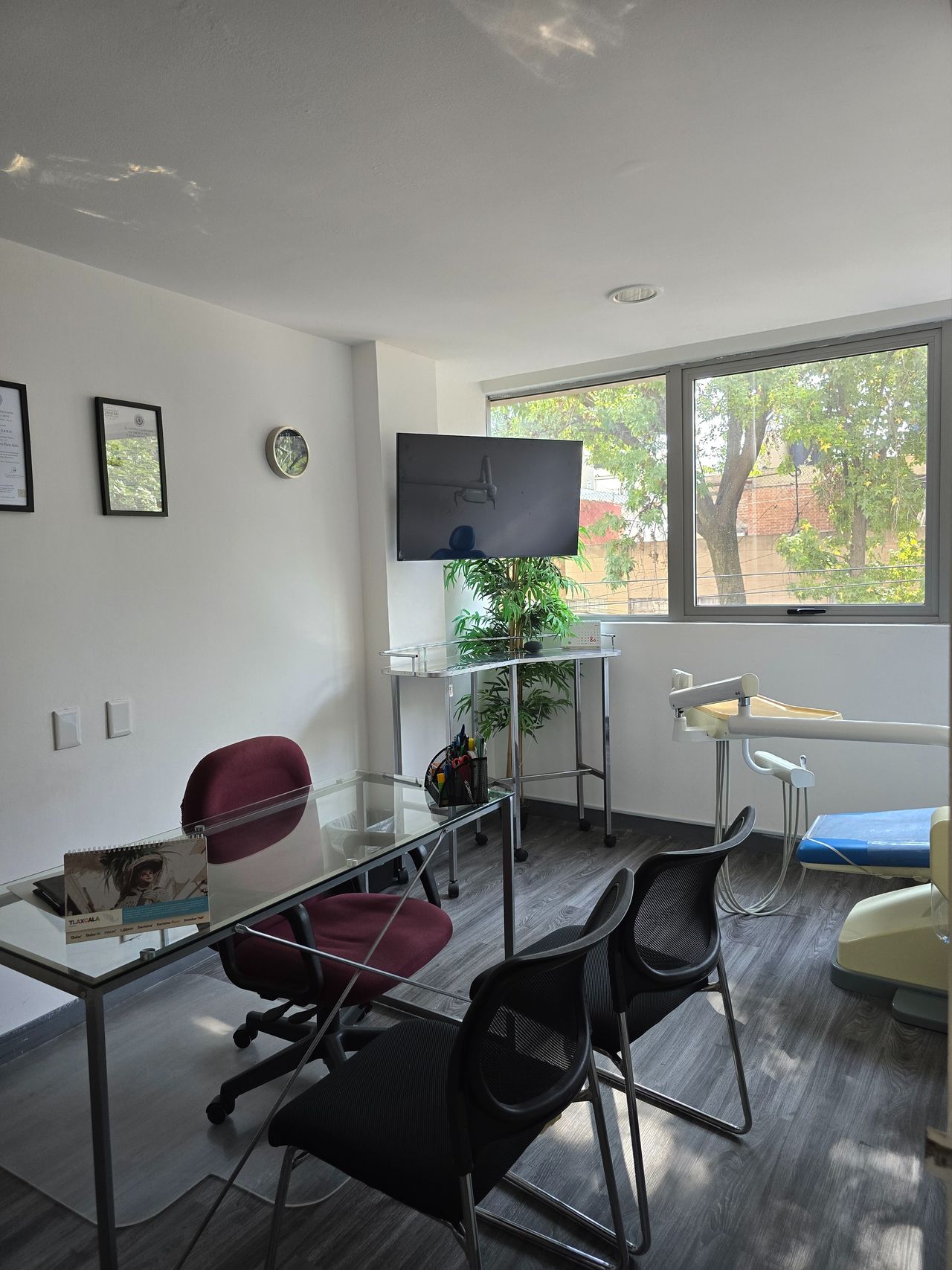 Gerardo Romero Jasso-0