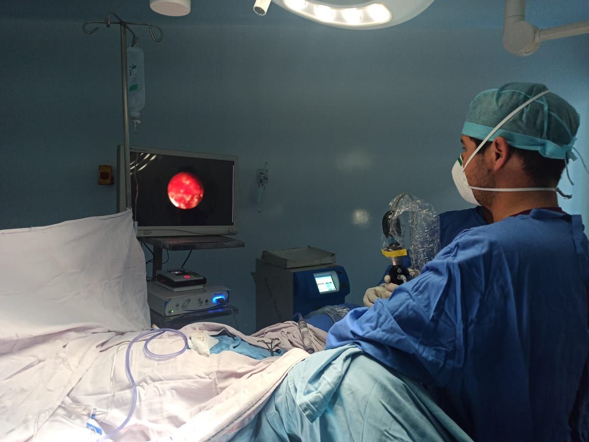 Gustavo Gallegos Sánchez-2