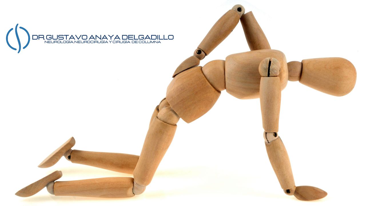 Gustavo Anaya Delgadillo-15