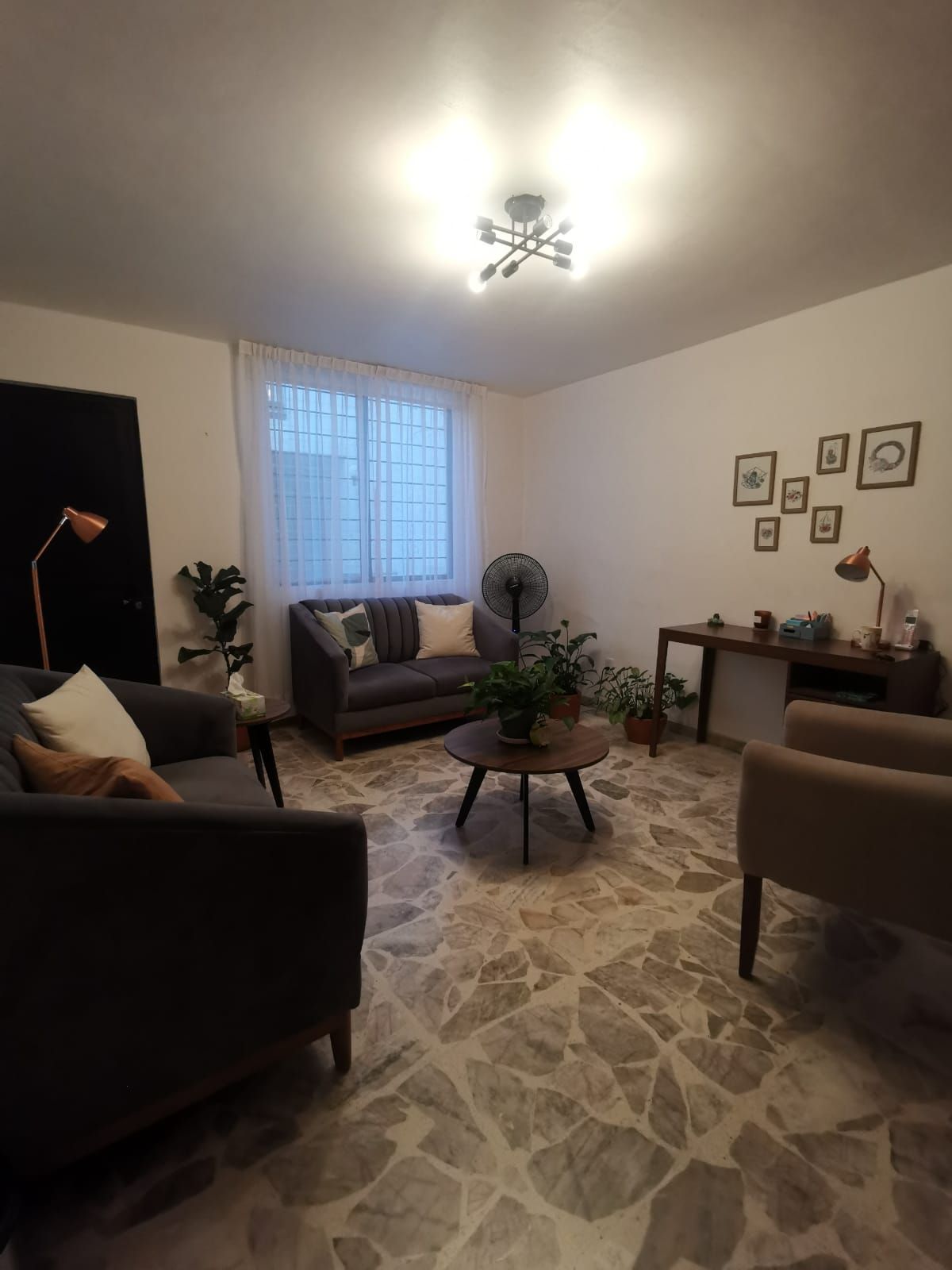 Elsa  Minerva Salcido Cárdenas-0