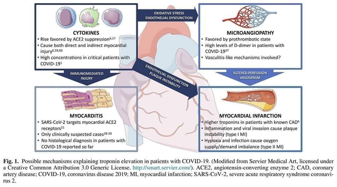 Francisco Cruz Ramos-63