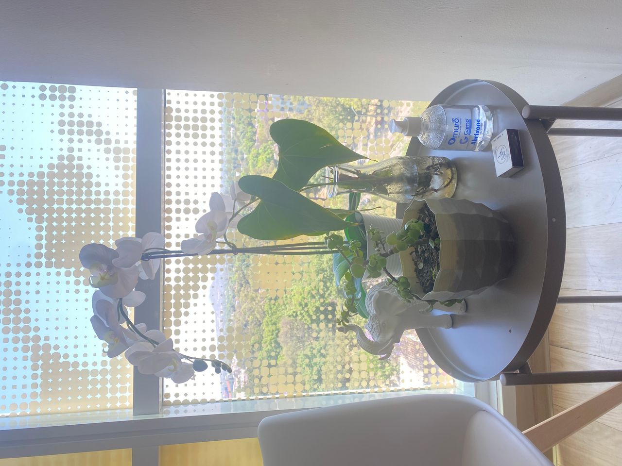 Viviana Castillo Anaya-0