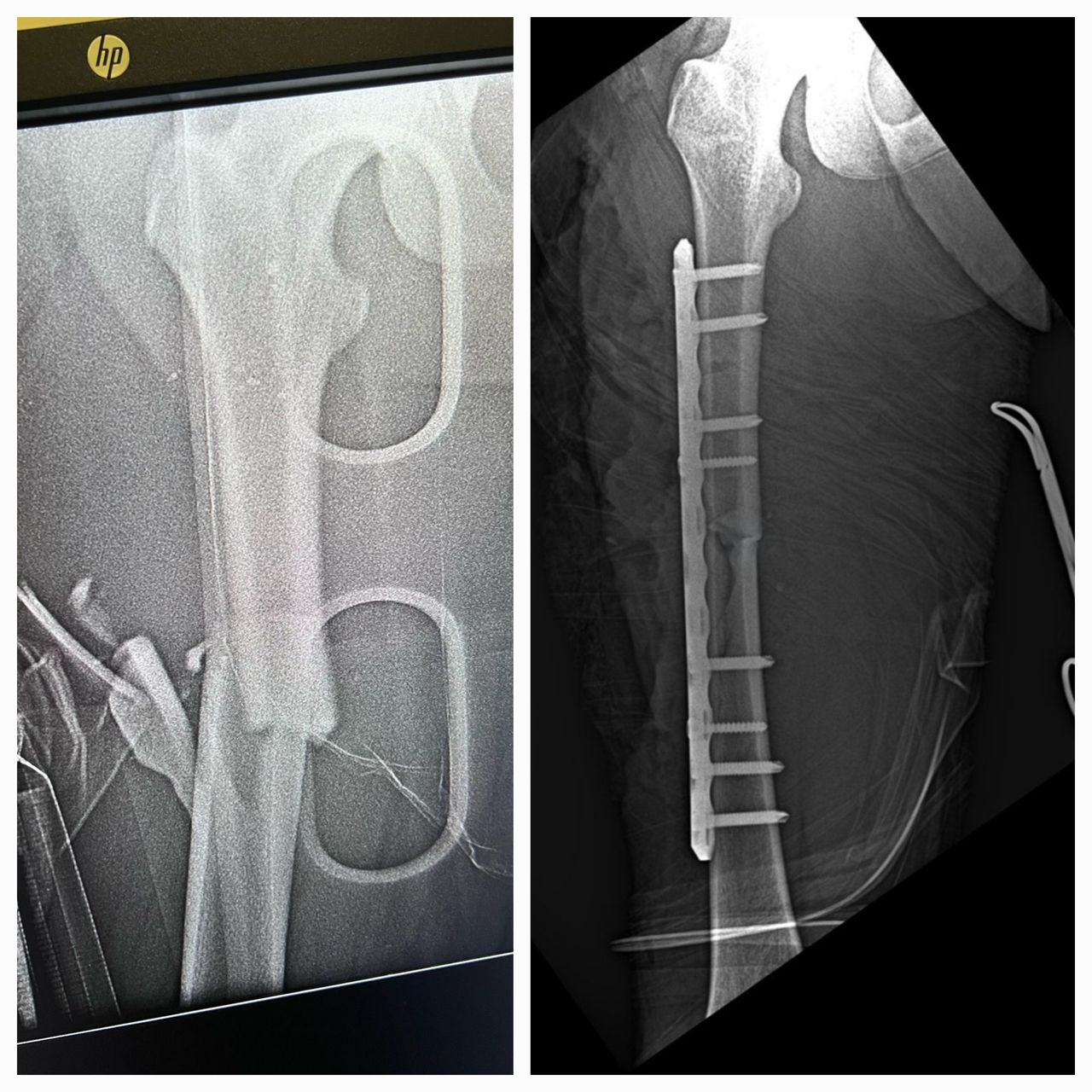 Amando Ramirez Zavala-2