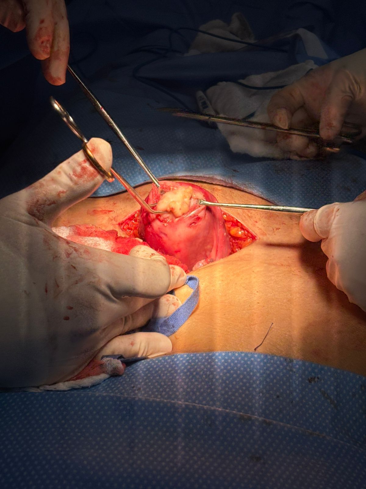 Jorge Alberto Rodriguez Pezino-5