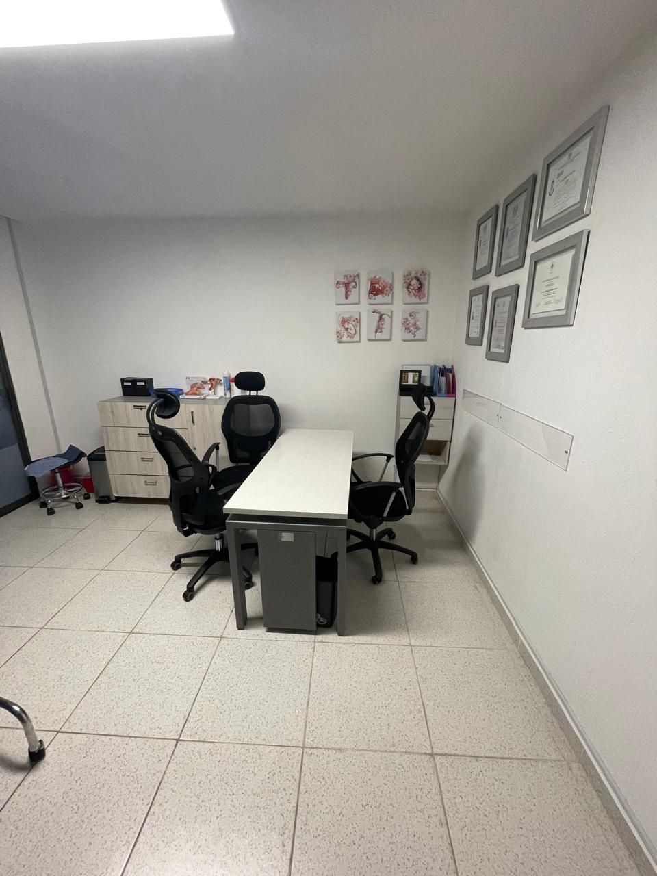 Andrea Rodriguez  Alvarez De La Cuadra-2