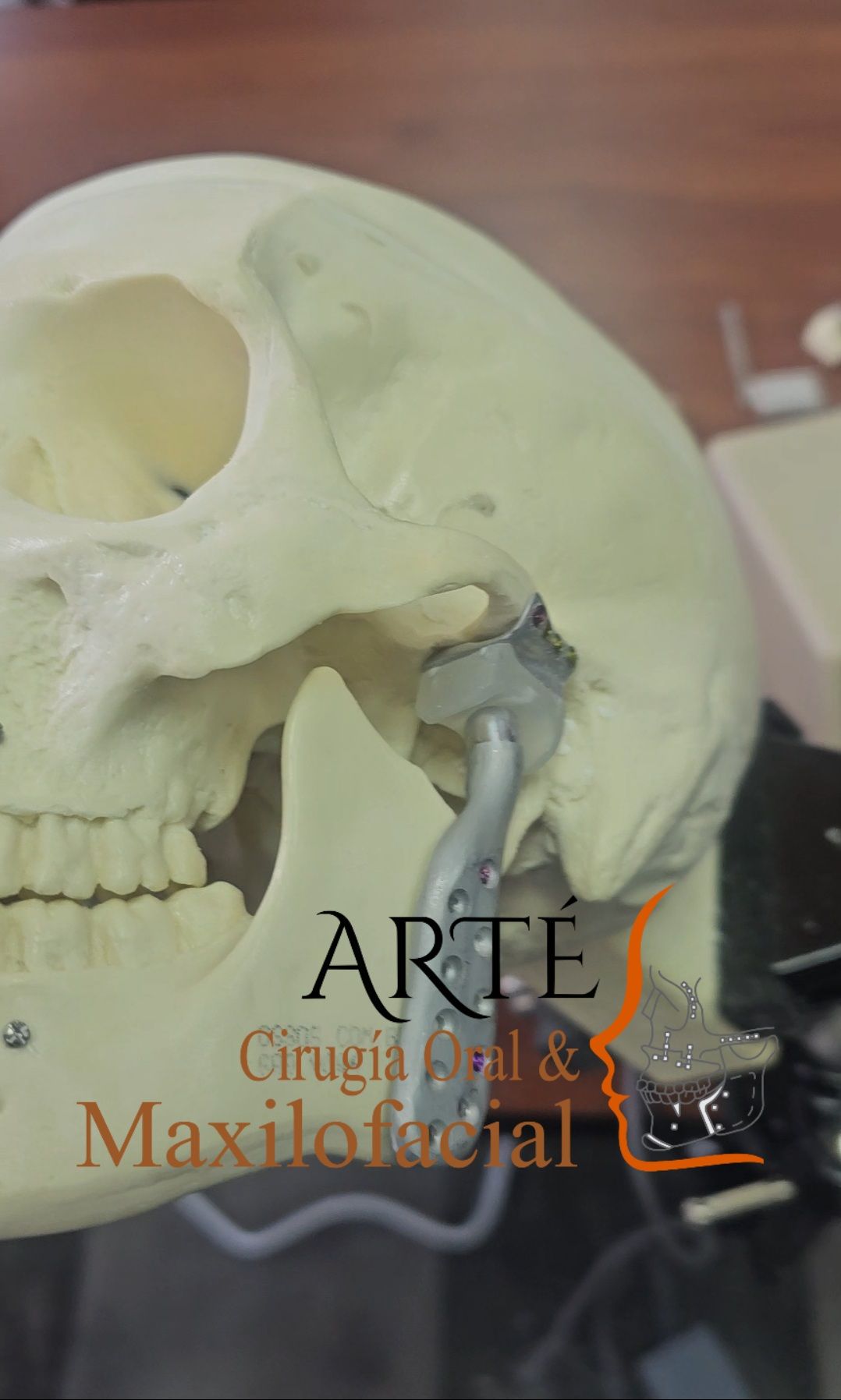 Arturo Téllez Santamaría-2