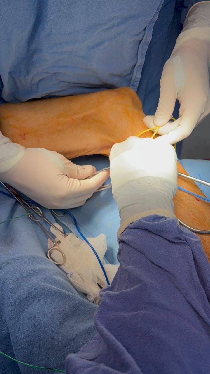 Jorge Rodríguez Navarro-4