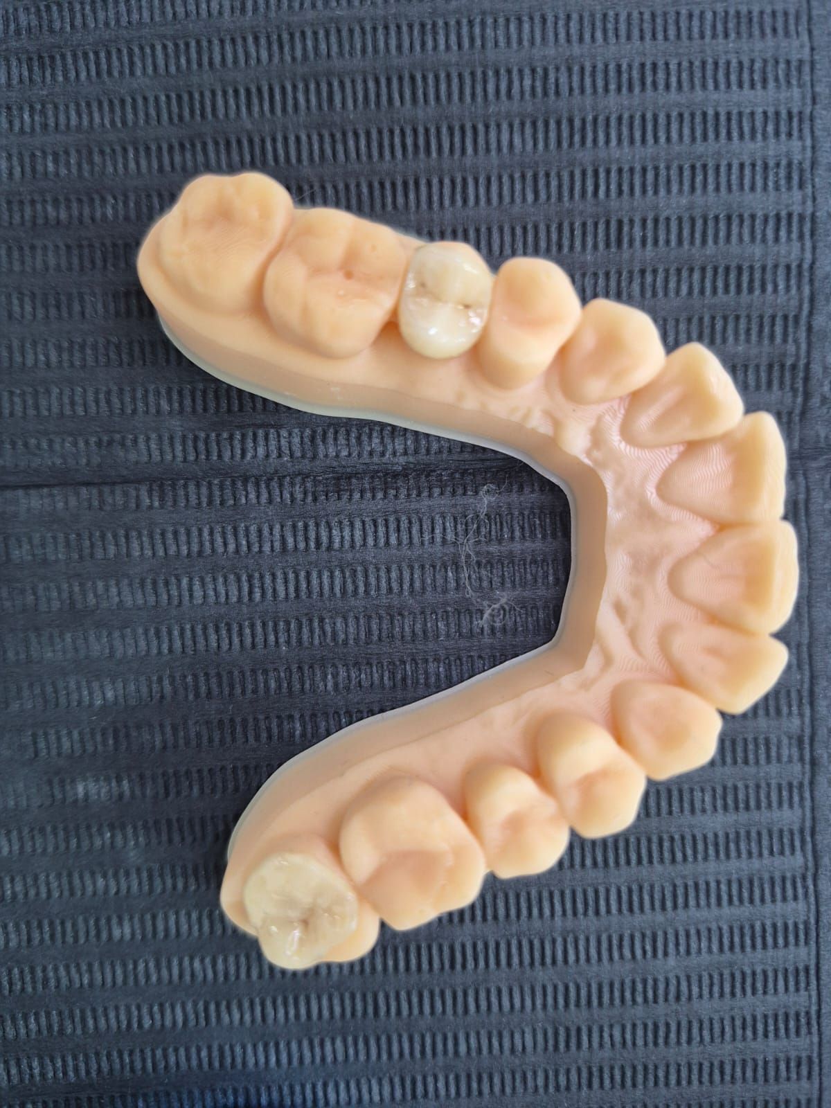 Ana Lucía Quintana Nájera-8