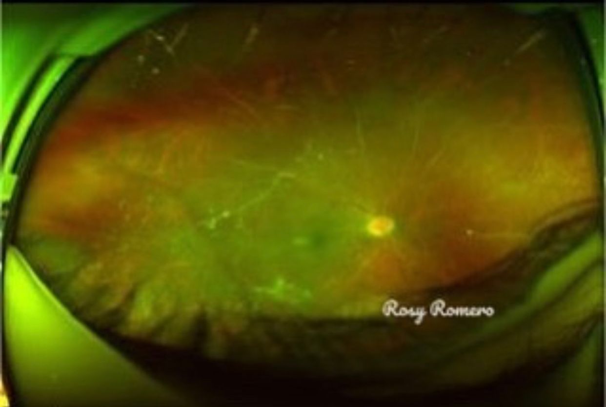 Rosa María Romero Castro-37