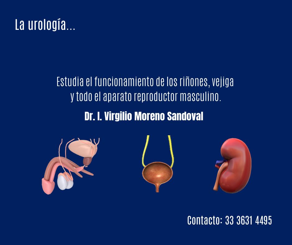 I. Virgilio Moreno Sandoval-3