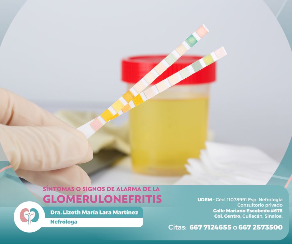 Lizeth María Lara Martínez-3