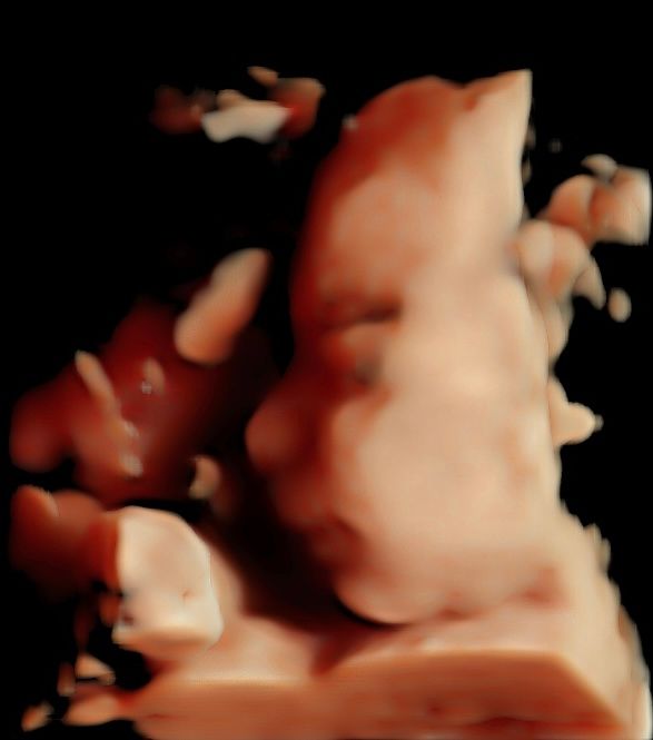 Myriam Barajas Calvillo-1