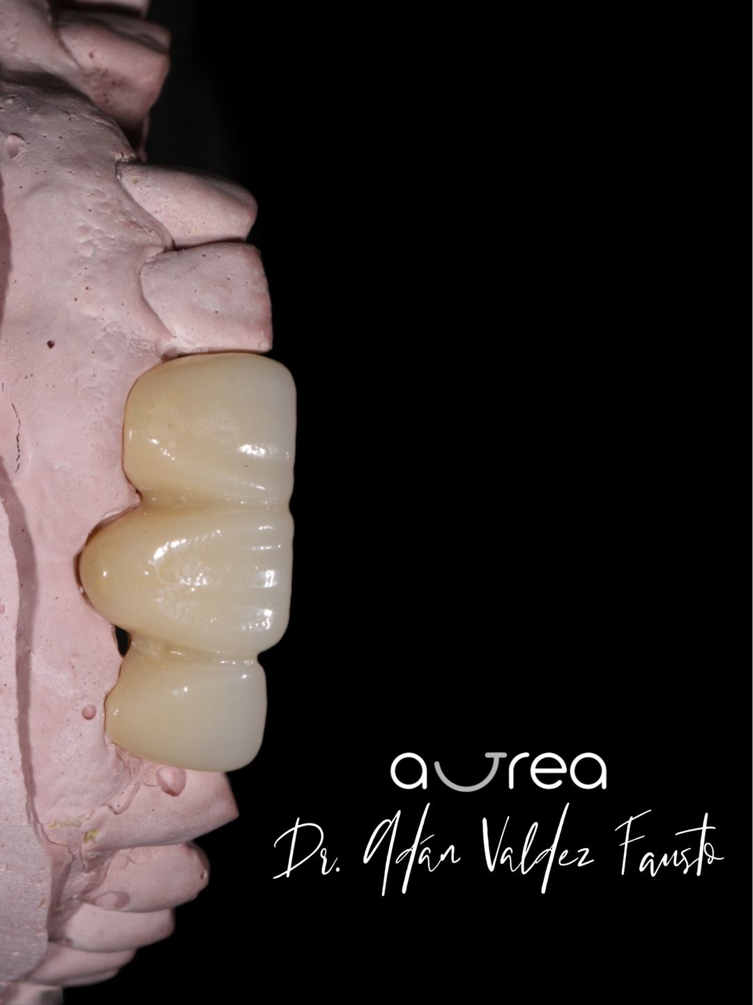 Adán Leonardo Valdez Fausto-21
