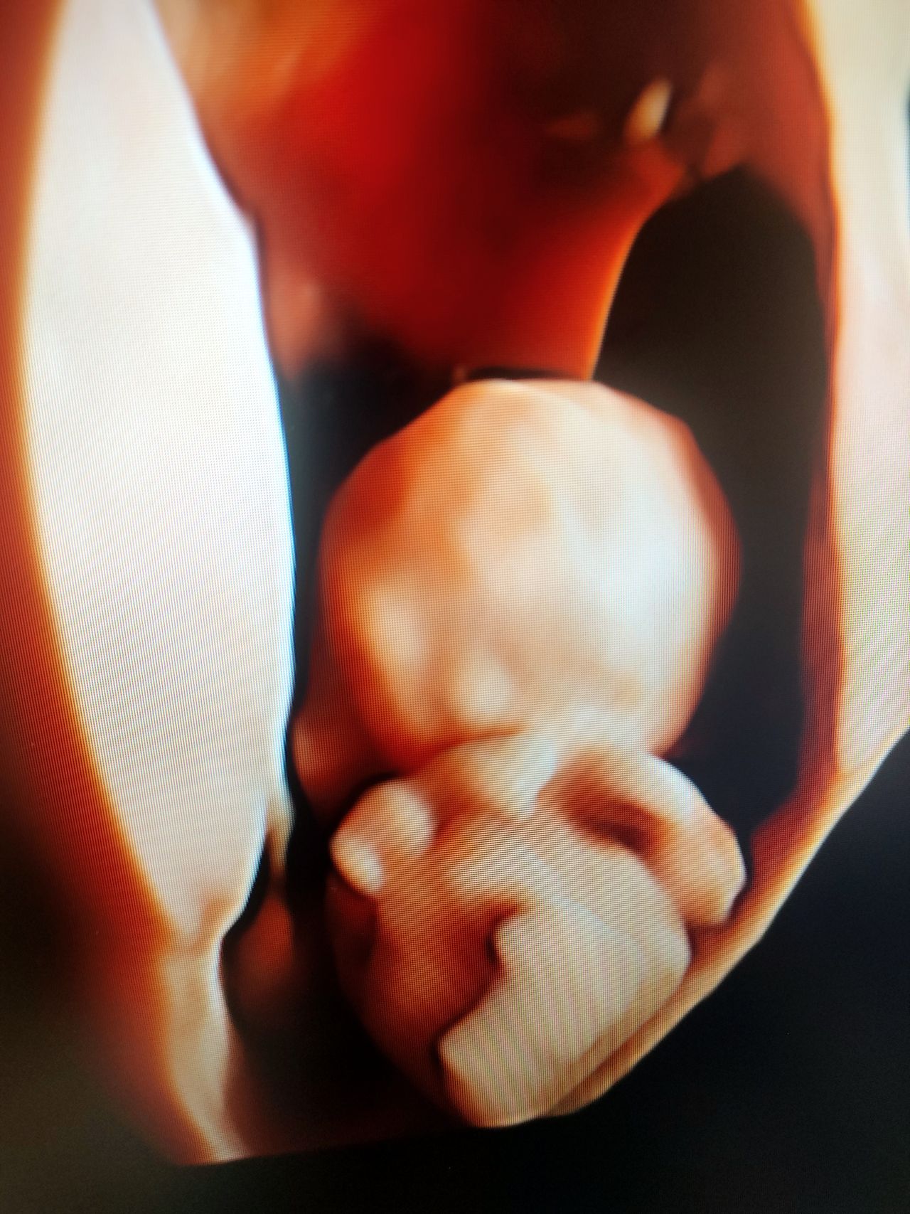 José De Jesús Guzmán Llamas-8