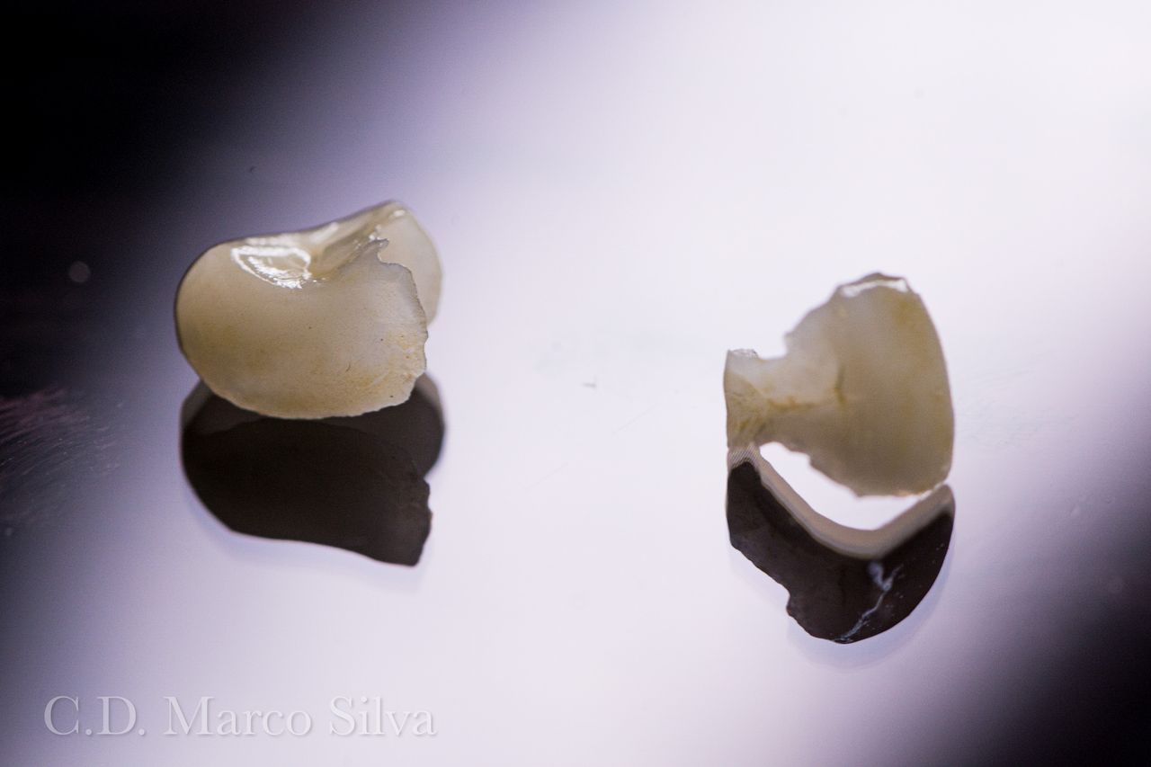 Marco Antonio Silva-21