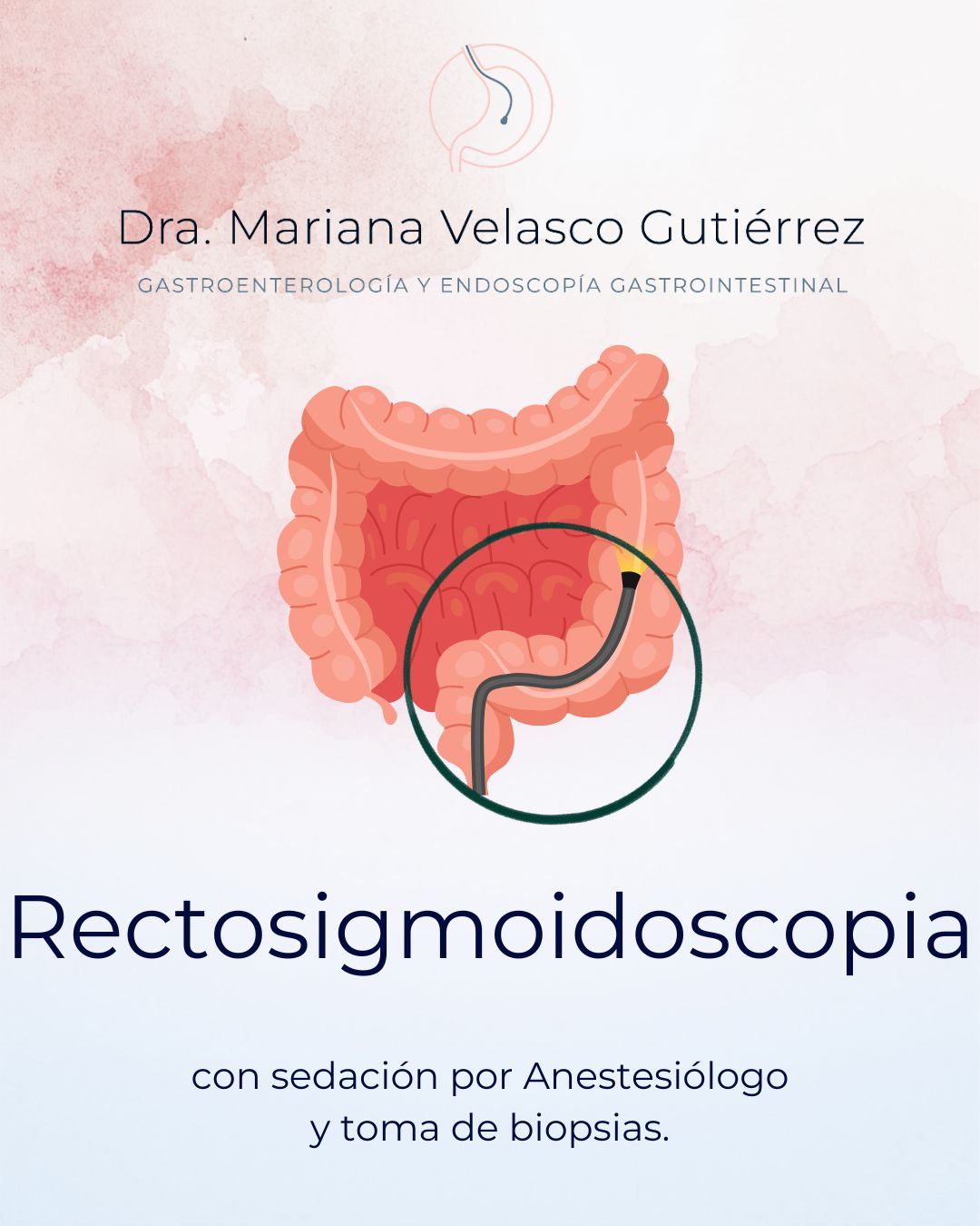 Mariana Velasco Gutiérrez-8