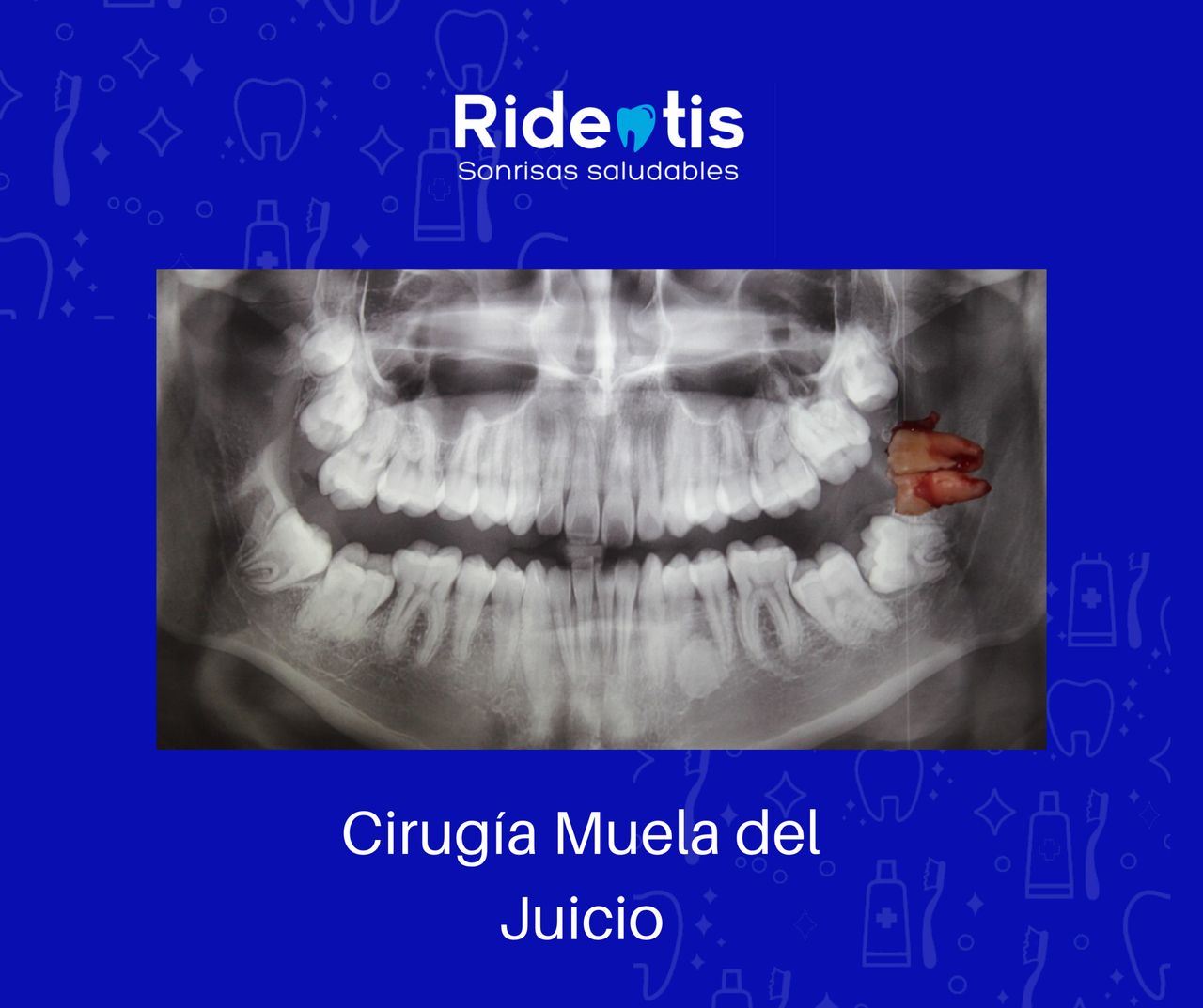 Laura Ceballos Brito-8