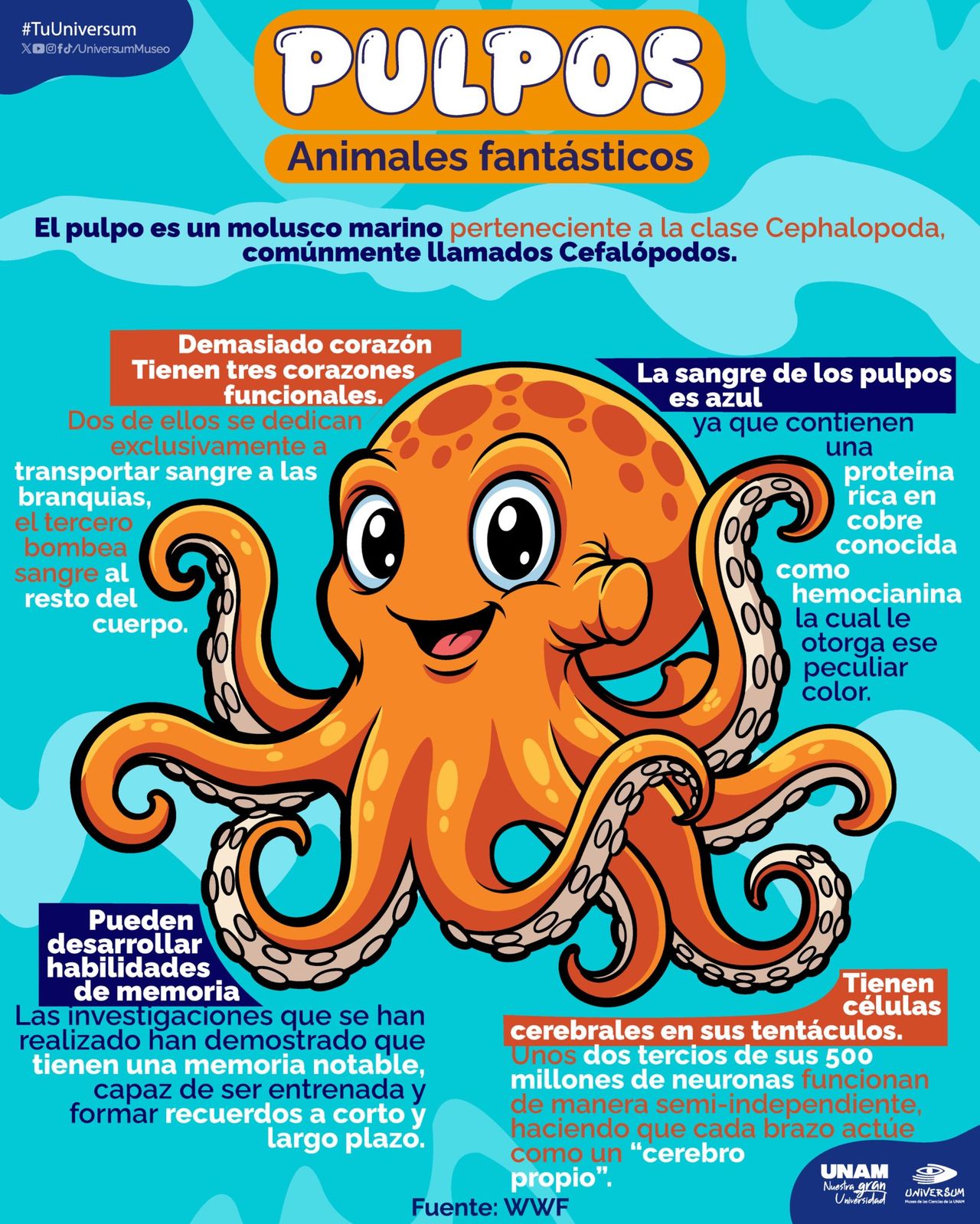 Raymundo Alejandro Cuevas Escalante-239