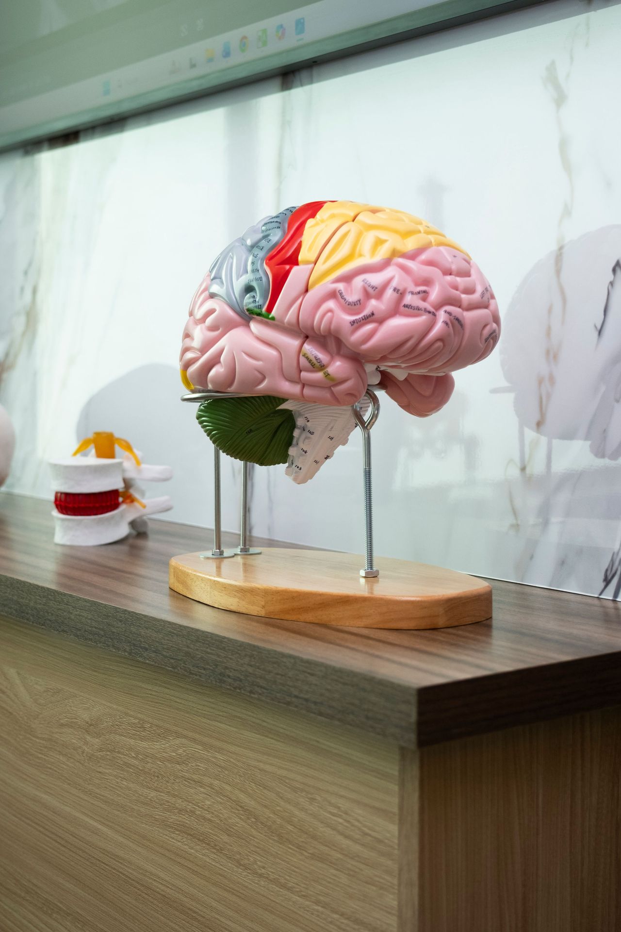 José Ramón Olivas C.-9