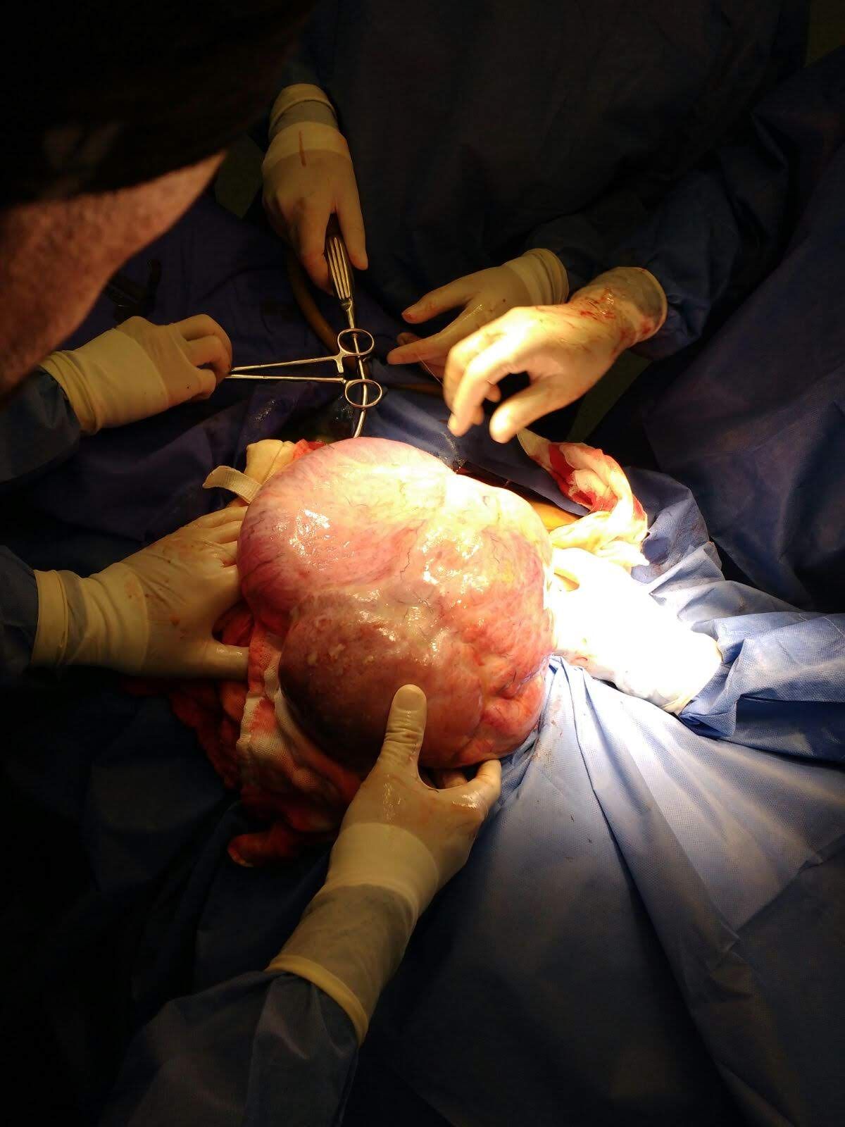 Marisol I. Alvarez Carrasco-48