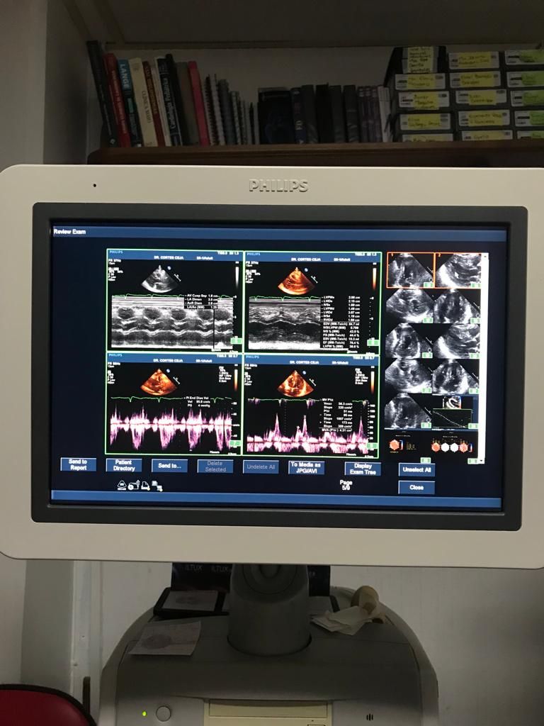 Juan Manuel Cortés Ceja-1