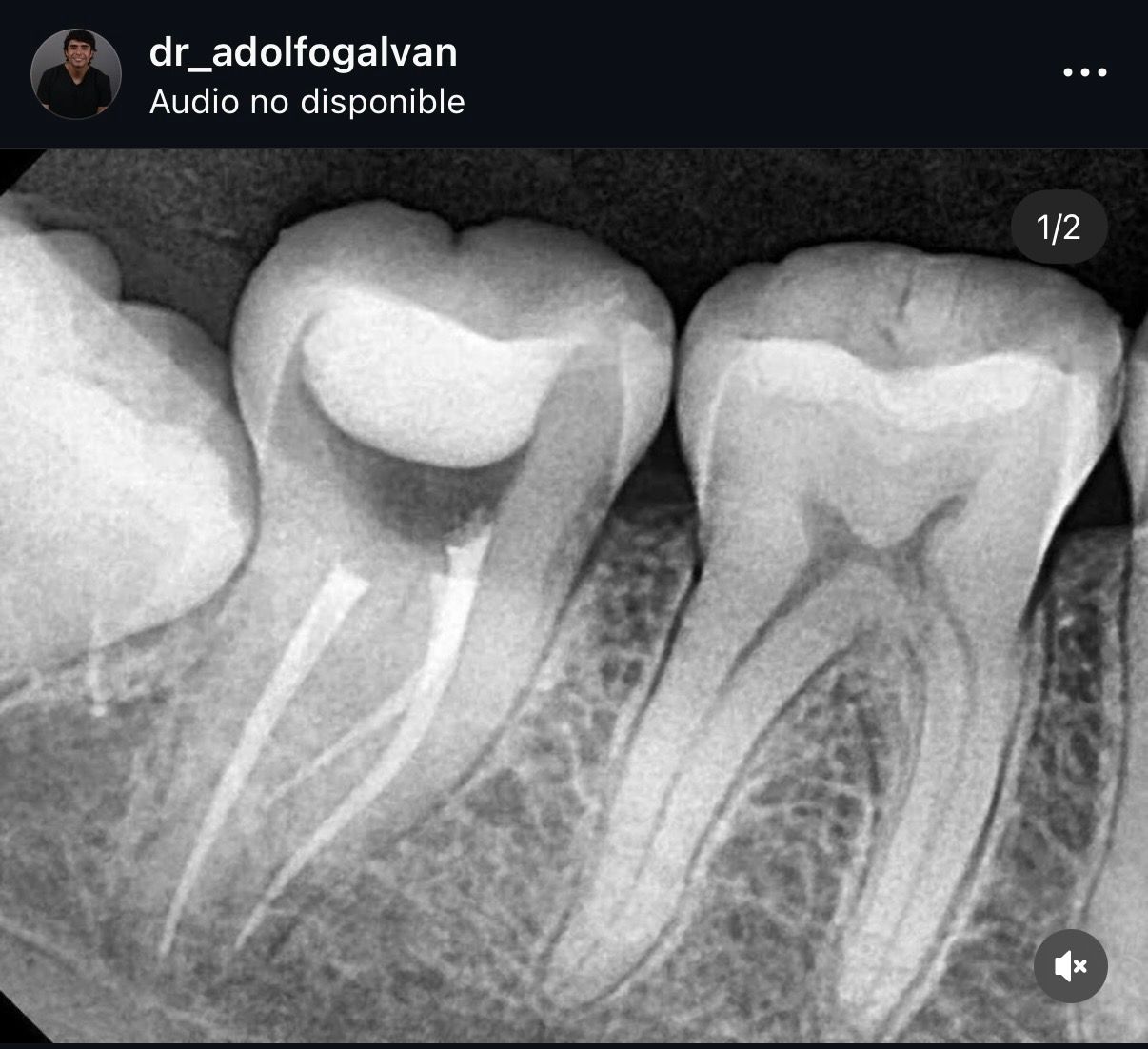 Gustavo Adolfo Galván Leyva-1