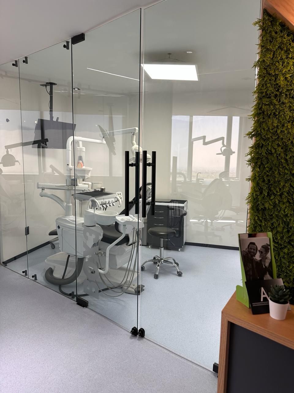 Guadalupe Armillas Canseco-2