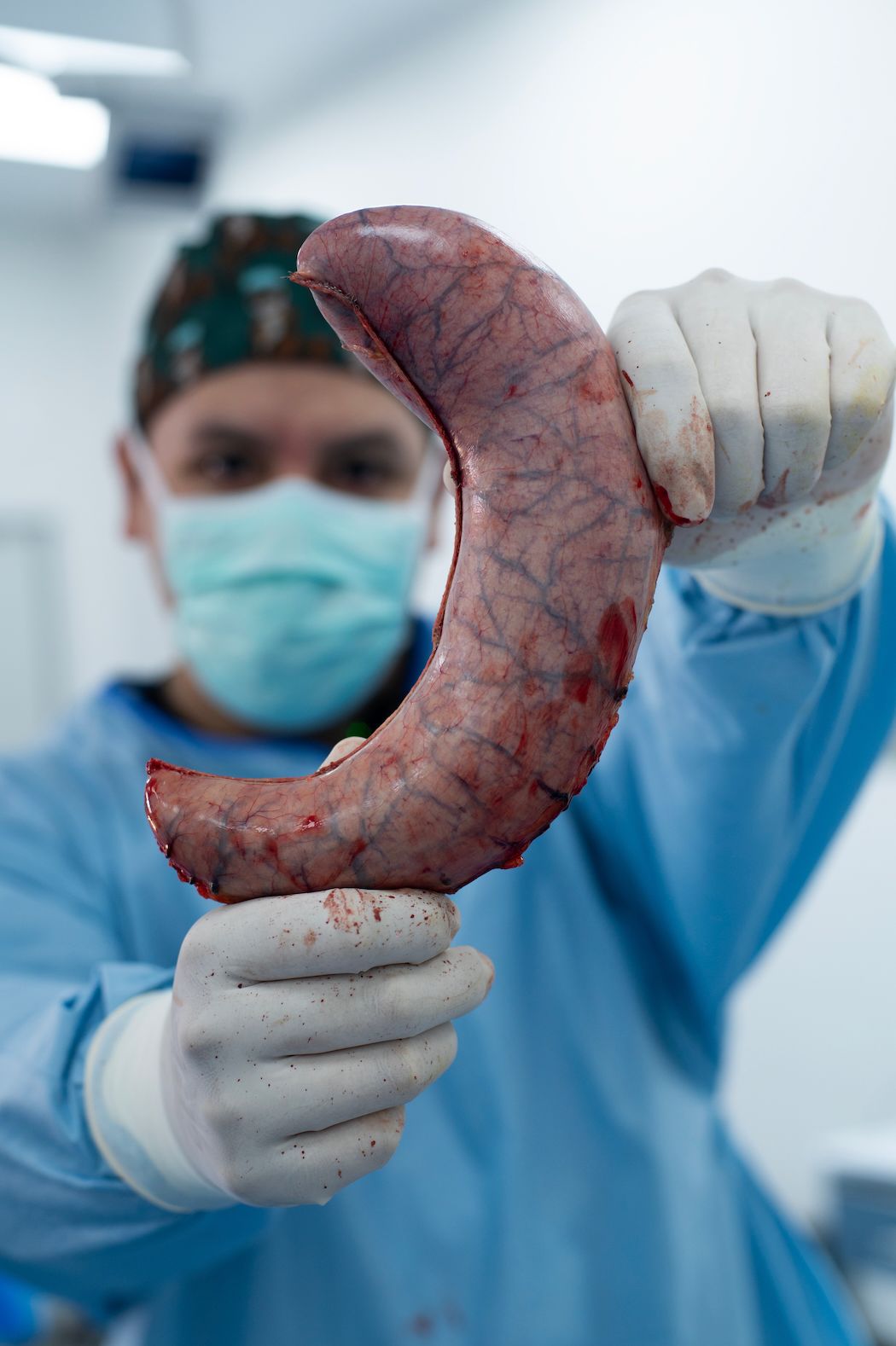 David Lomeli Reyes-3