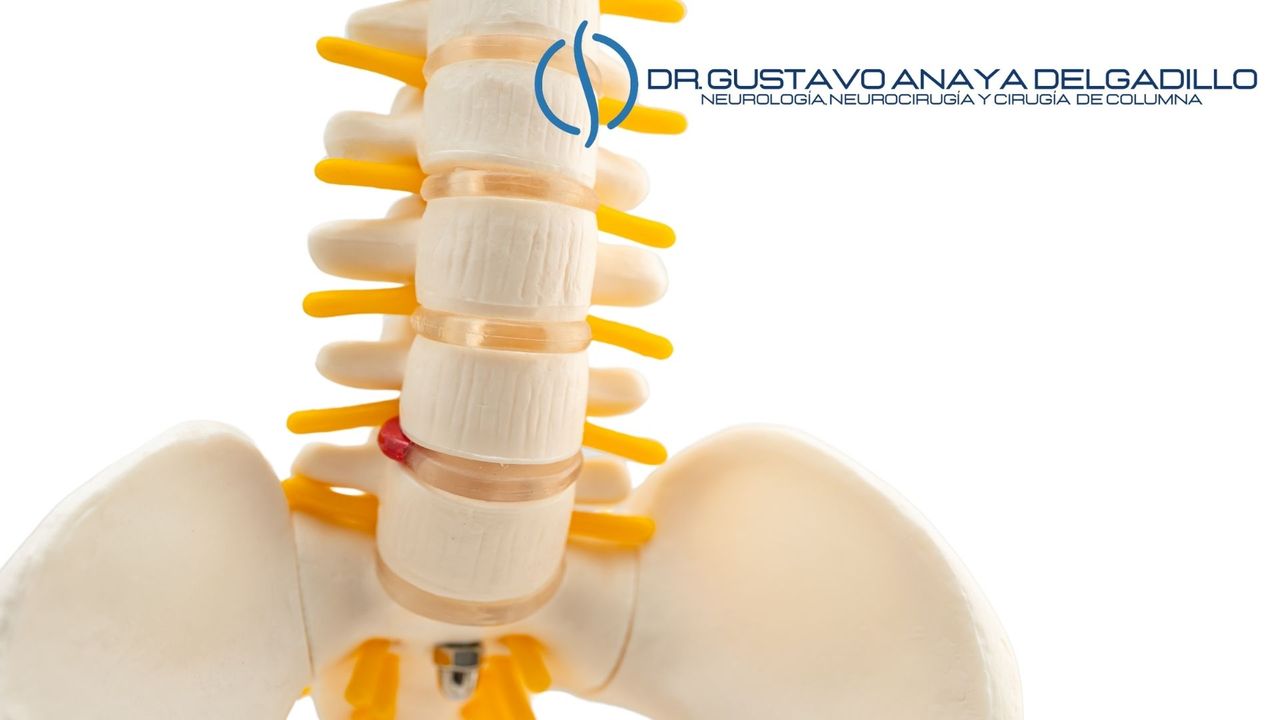 Gustavo Anaya Delgadillo-7