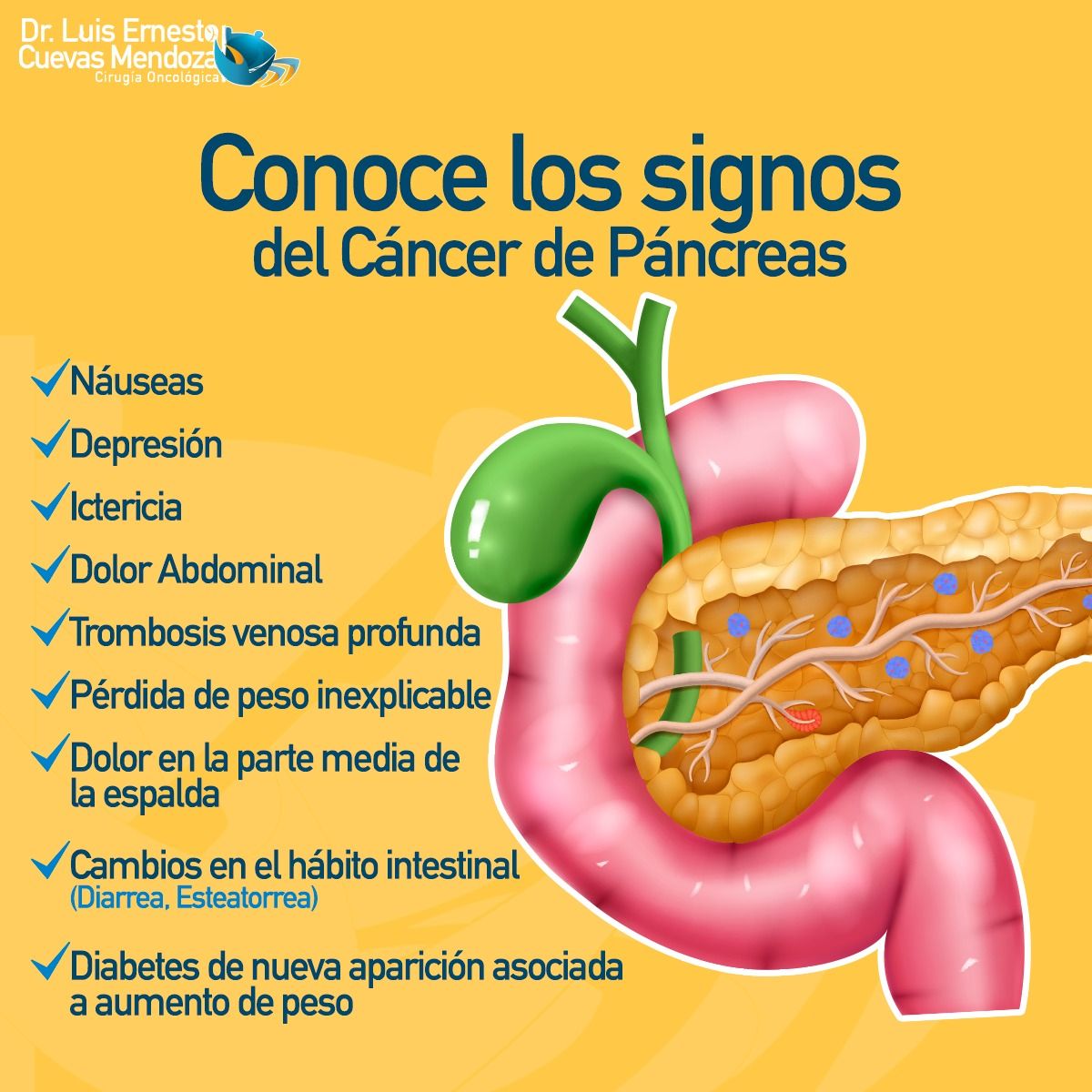 Luis Ernesto Cuevas Mendoza-58