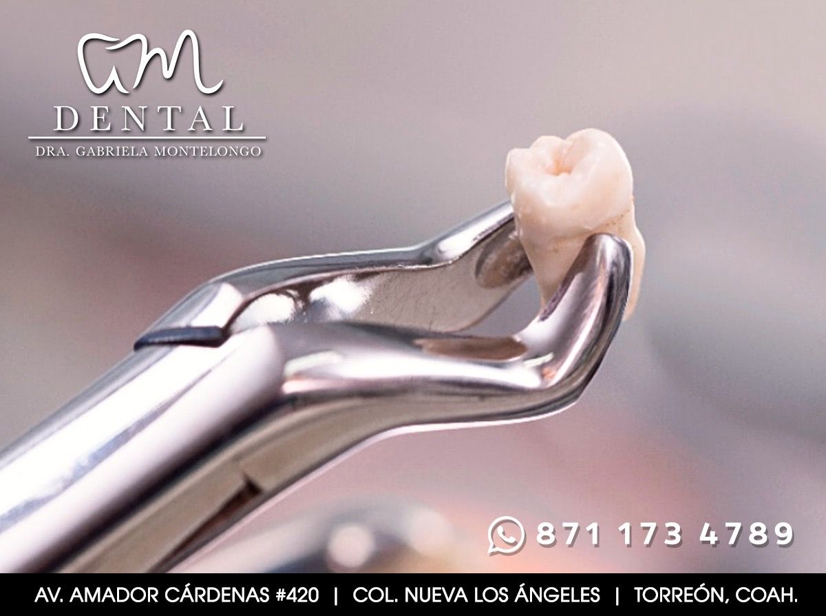 Gabriela Montelongo Rubio-4