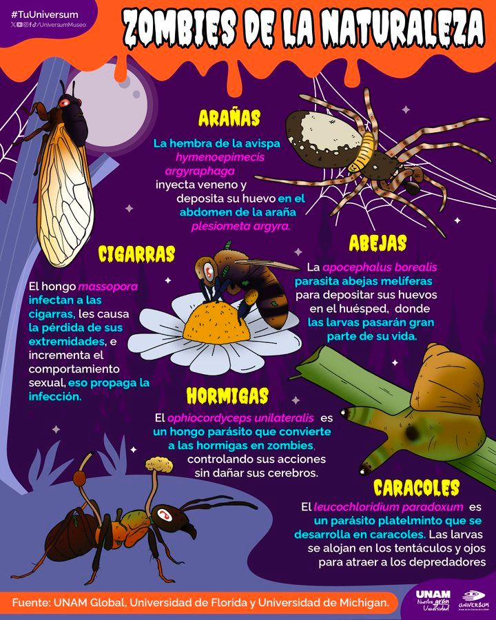 Raymundo Alejandro Cuevas Escalante-401