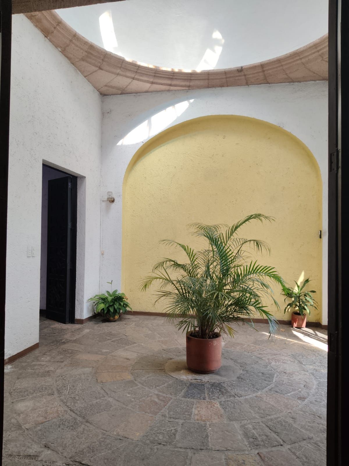 Itzel Díaz Peredo-4